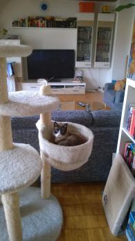 Kioko Bild von Kioko