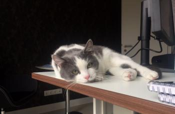 Jacky Bild von Jacky