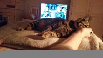 Starbuck Bild von Starbuck