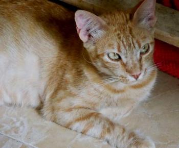 Neila Bild von Neila
