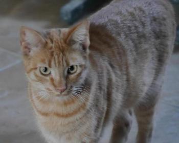Neila Bild von Neila