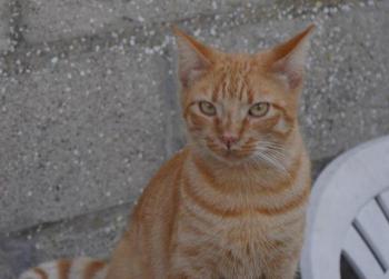Neila Bild von Neila