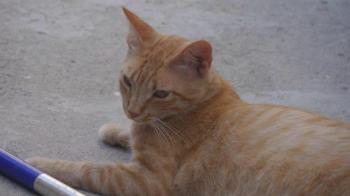 Neila Bild von Neila