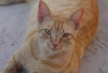 Neila Bild von Neila