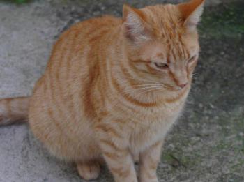 Neila Bild von Neila