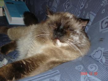Caspian Bild von Caspian