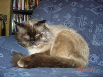 Caspian Bild von Caspian