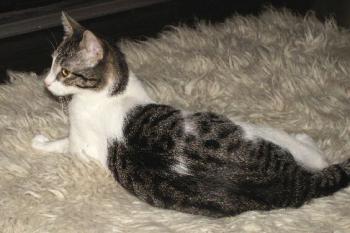 Mimmi Bild von Irina