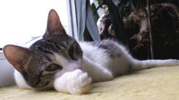 Irina Bild von Irina