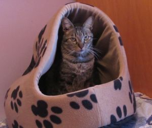 Pompeyito Bild von Pompeyito