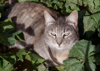 Rosita Bild von Rosita