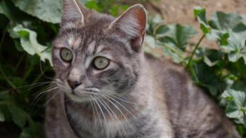 Rosita Bild von Rosita