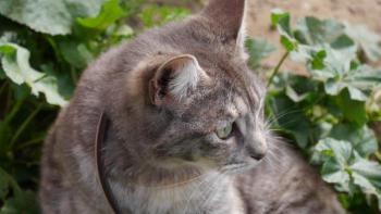 Rosita Bild von Rosita