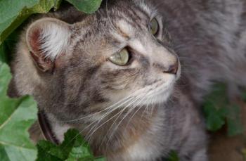 Rosita Bild von Rosita