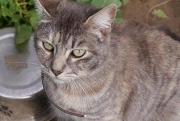 Rosita Bild von Rosita