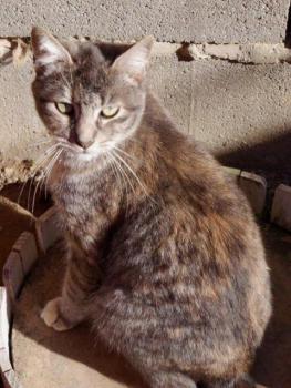 Rosita Bild von Rosita