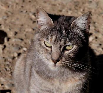 Rosita Bild von Rosita