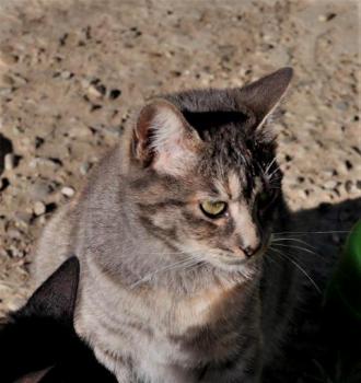 Rosita Bild von Rosita