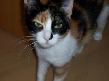 Betty Bild von Trak