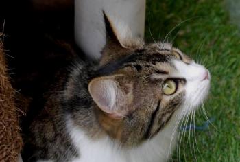 Mouche Bild von Mouche