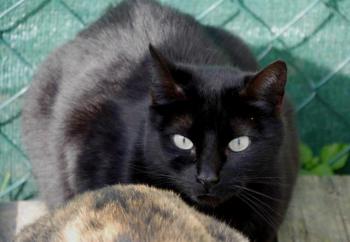 Naomi Bild von Naomi