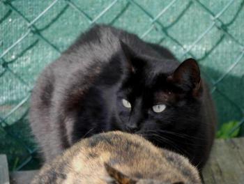 Naomi Bild von Naomi