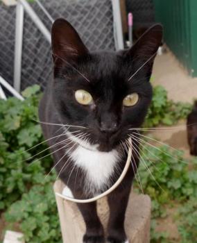 Auxi Bild von Auxi
