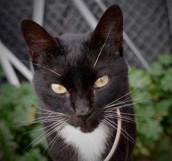 Auxi Bild von Auxi