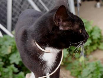Auxi Bild von Auxi