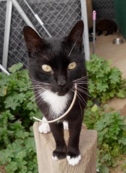 Auxi Bild von Auxi