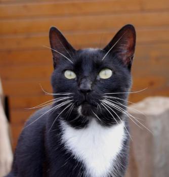 Auxi Bild von Auxi