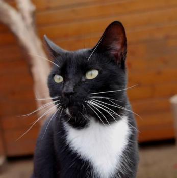Auxi Bild von Auxi