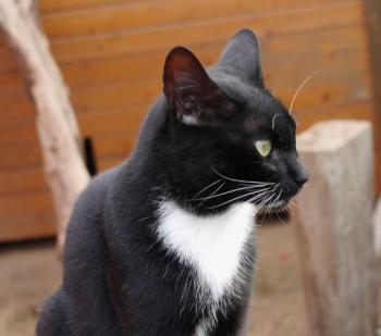 Auxi Bild von Auxi