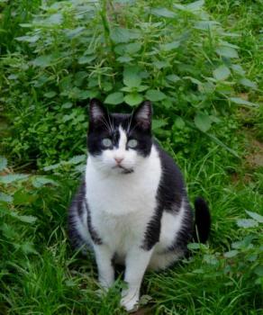 Fritzi Bild von Fritzi
