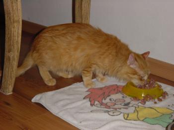 Elliot Bild von Elliot