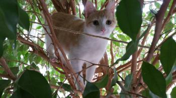Bild von Anna