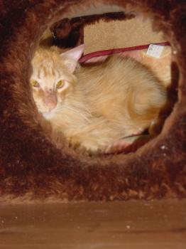 Elliot Bild von Elliot
