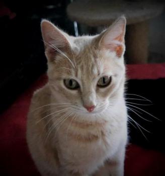 Yuki Bild von Yuki
