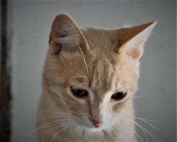 Yuki Bild von Yuki