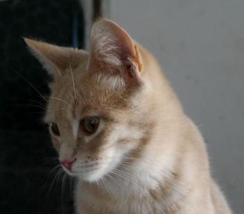 Yuki Bild von Yuki