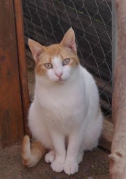 Salomé Bild von Salomé