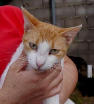 Salomé Bild von Salomé