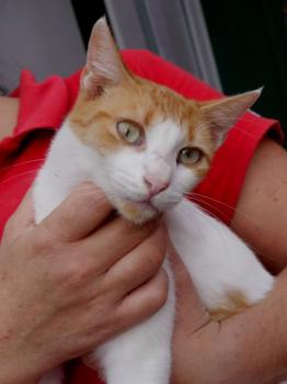 Salomé Bild von Salomé