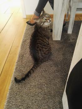 Wally Bild von Wally