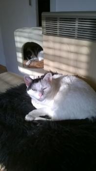 Gina Bild von Gina