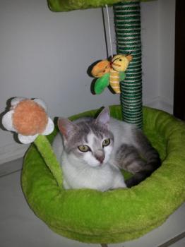 Candy Bild von Candy