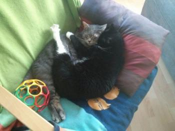 Berni Bild von Berni