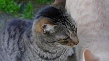 Jacki Bild von Jacki