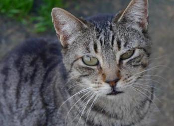 Jacki Bild von Jacki