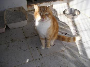 Tino Bild von Tino